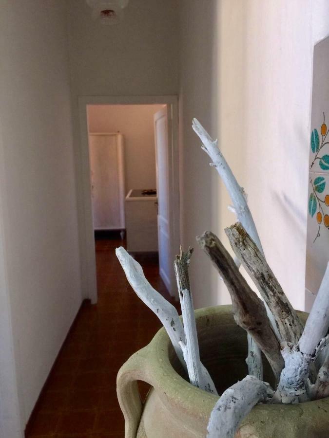 شقة Casa Lividonia بورتو سانتو ستيفانو المظهر الخارجي الصورة
